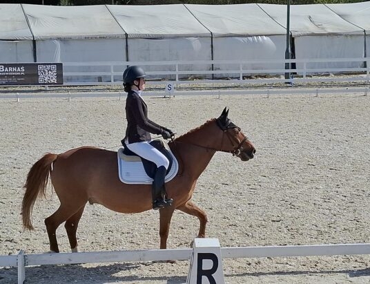 Zawody ujeżdżeniowe w Toporzysku | ZDJĘCIA