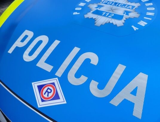 Kierował z zakazem i pod wpływem narkotyków