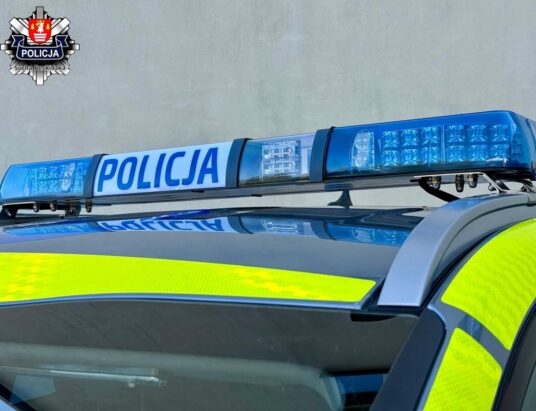 Ujęcie obywatelskie włamywacza na gorącym uczynku | WIDEO