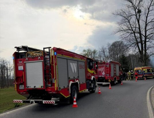 Uderzył w drzewo w Wieprzu