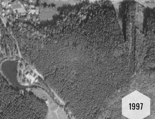 Wisła: Lasu nieopodal skoczni coraz więcej? ZDJĘCIA