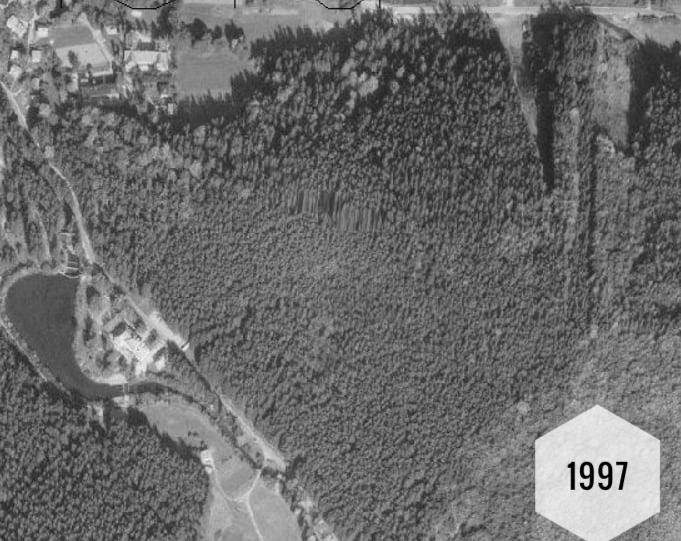 Wisła: Lasu nieopodal skoczni coraz więcej? ZDJĘCIA