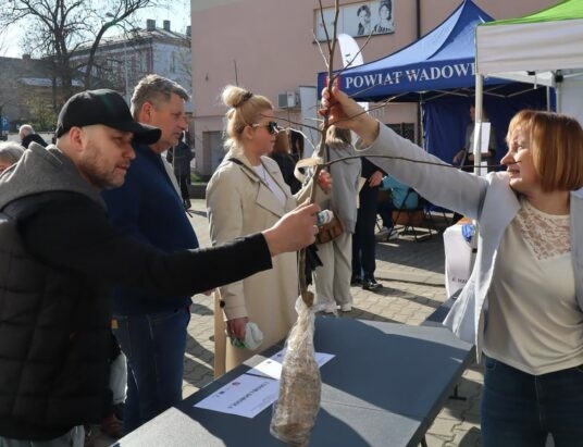 Udana akcja z sadzonkami w Wadowicach | ZDJĘCIA