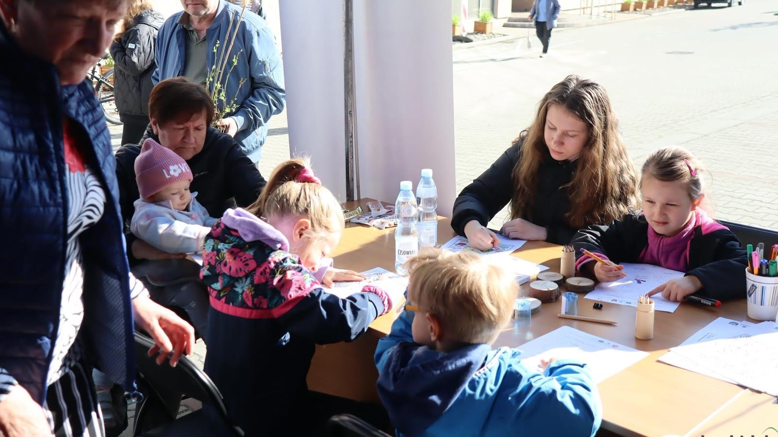 Udana akcja z sadzonkami w Wadowicach | ZDJĘCIA