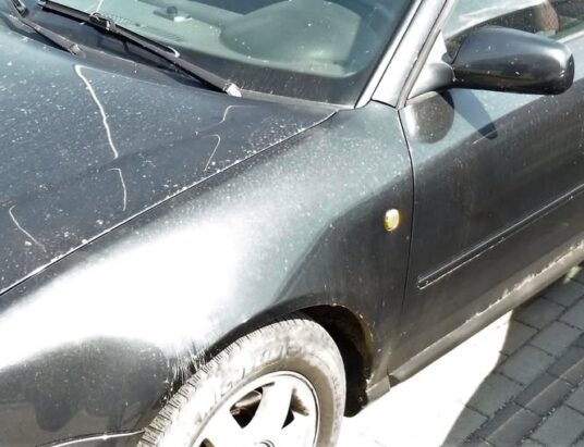 Co nawywijał 18-latek w Inwałdzie? 27 punktów karnych!