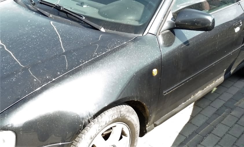 Co nawywijał 18-latek w Inwałdzie? 27 punktów karnych!