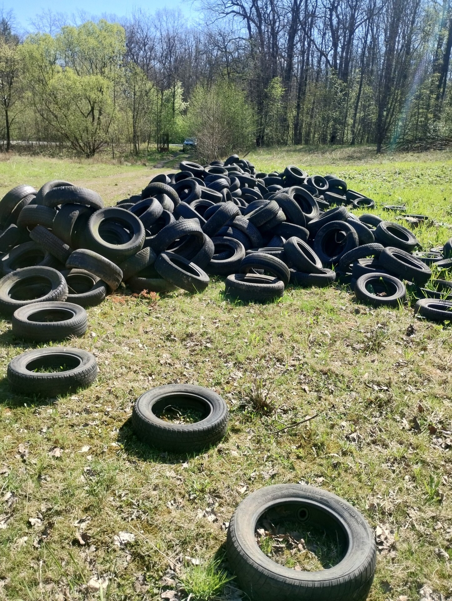 Nielegalne wysypisko w lesie w Dzięgielowie. Ktoś wyrzucił 150 opon
