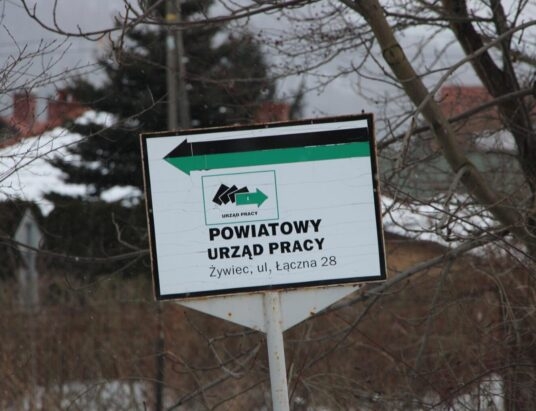 Bezrobocie za marzec w powiecie żywieckim | DANE W GMINACH