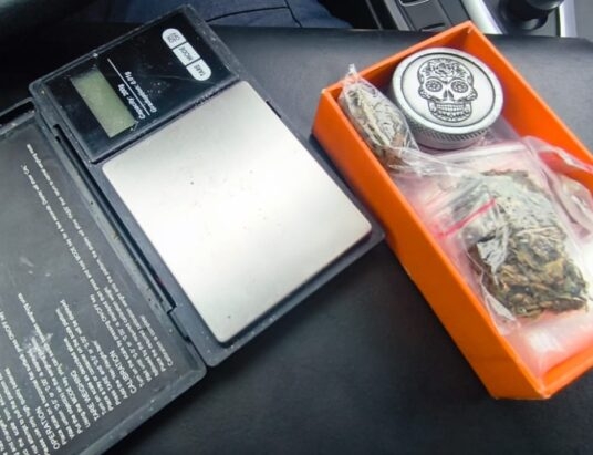 Kierowca podejrzany o jazdę pod wpływem narkotyków, a pasażer o ich posiadanie