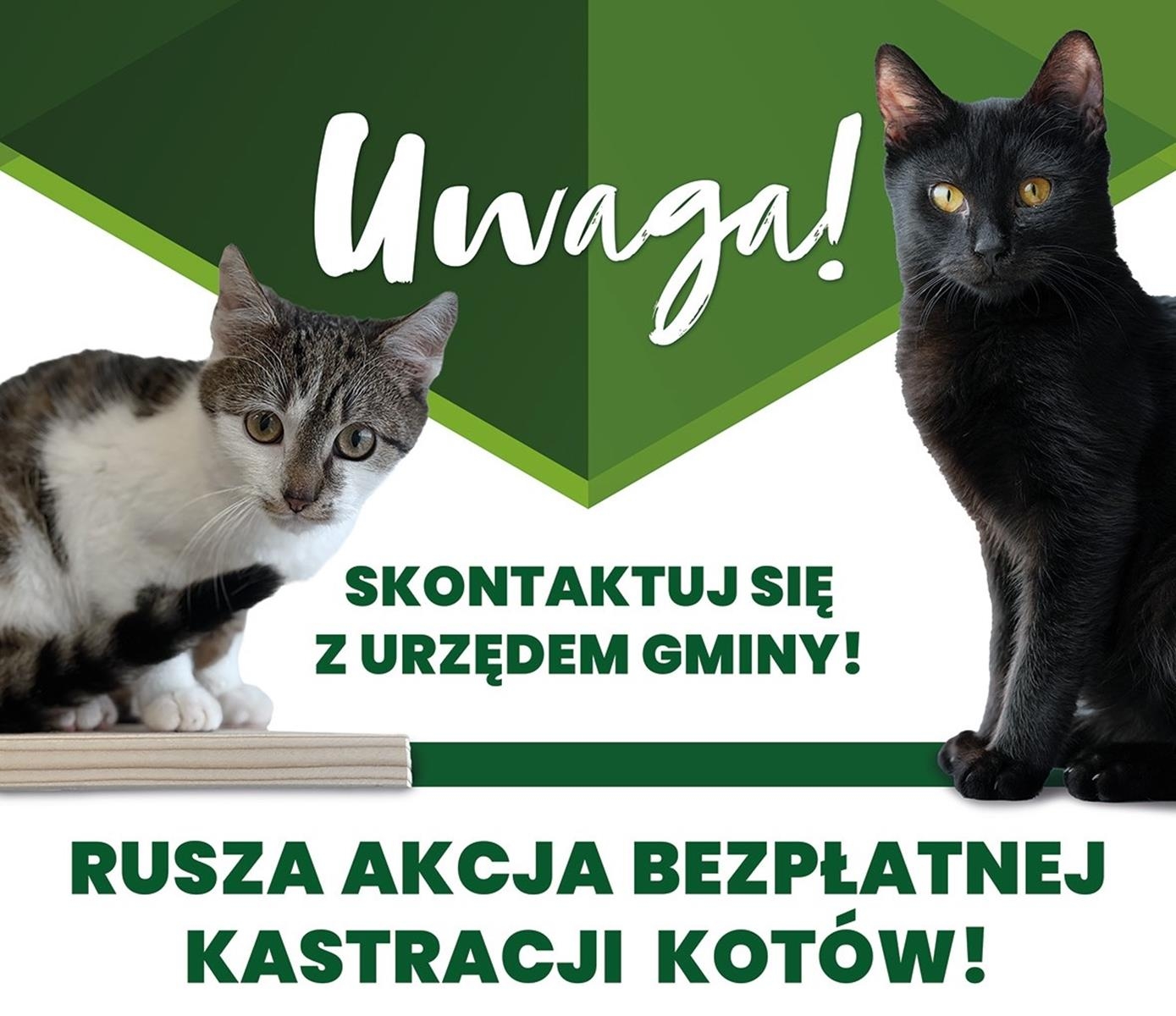 ZWIERZowa Akcja Kastracja w gminie Lanckorona