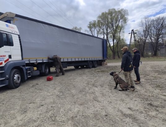 Psy szkolone pod Czantorią. Triborder K9 Poland w Ustroniu | ZDJĘCIA