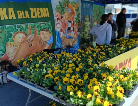 Sadzonki drzew i bratki w zamian za odpady. Wkrótce kolejna akcja Arki