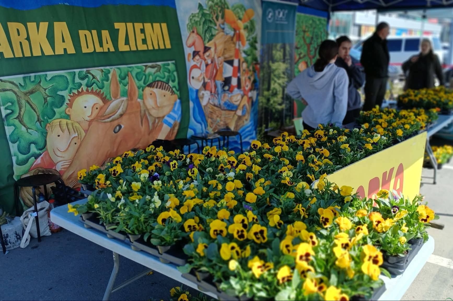 Sadzonki drzew i bratki w zamian za odpady. niedługo kolejna akcja Arki