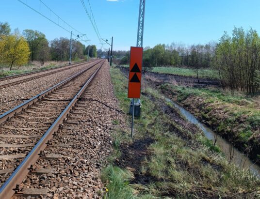 Seria groźnych pożarów wzdłuż linii kolejowej. Armia strażaków w akcji