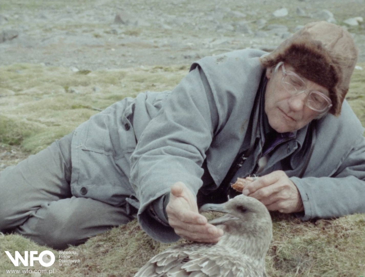 „Niewyraźny klekot ptaków” w koziańskiej bibliotece