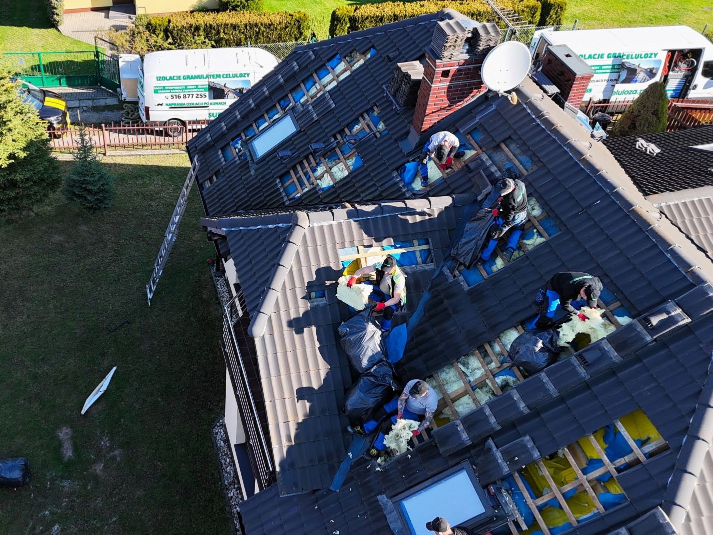 Czy ubezpieczenie pokrywa szkody po kunie? Sprawdź, zanim będzie za późno