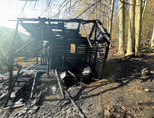 Pożar domku letniskowego w Kamesznicy | ZDJĘCIA