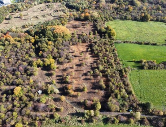 Obrońcy przyrody triumfują: SKO wstrzymuje inwestycję na Sarnim Stoku