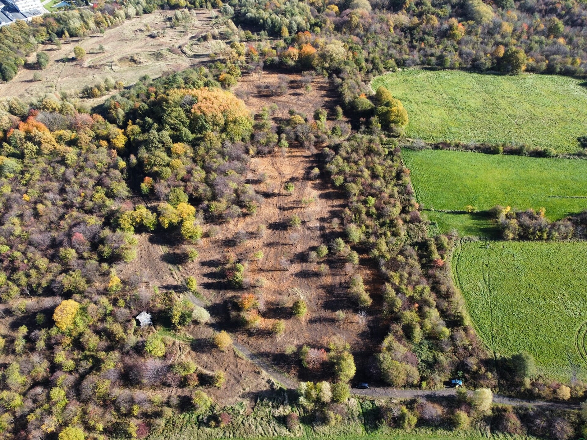Obrońcy przyrody triumfują: SKO wstrzymuje inwestycję na Sarnim Stoku