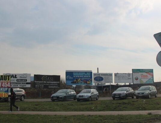 Przyspiesza temat uchwały krajobrazowej w Żywcu | WIDEO