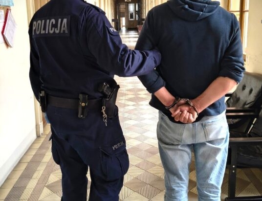 Uciekał przed policjantami, był agresywny i pobudzony. Usłyszał zarzuty