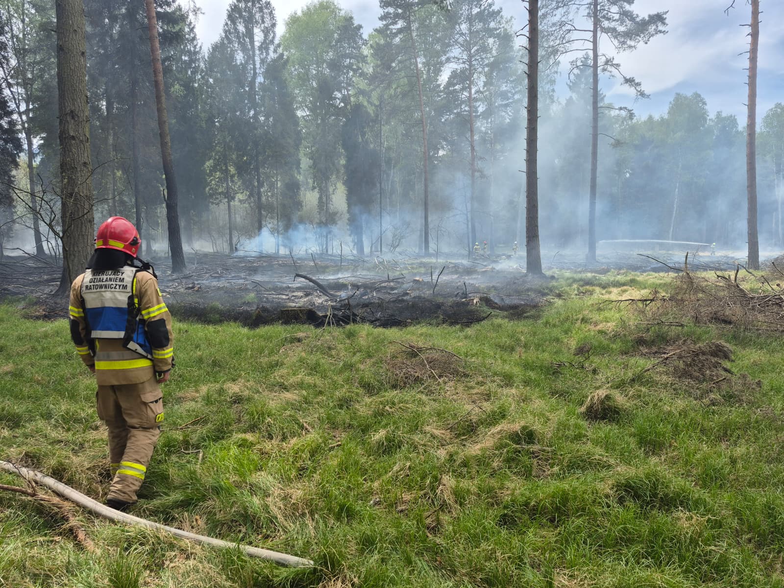 Pożar lasu w Zabrzegu | ZDJĘCIA
