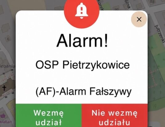 Komórka narobiła niezłego zamieszania na S1