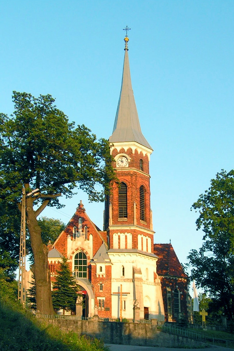 Aura zapisana w słojach