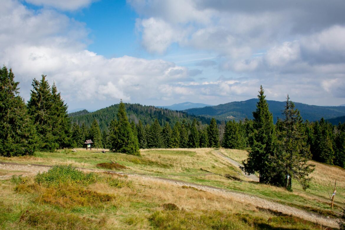 Krajobraz górski w kontekście apartamentów w Beskidach