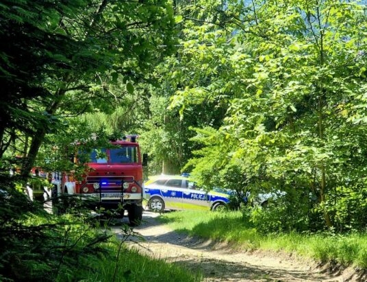 Pożar ściółki na Łysej Górze. Akcja w trudno dostępnym terenie