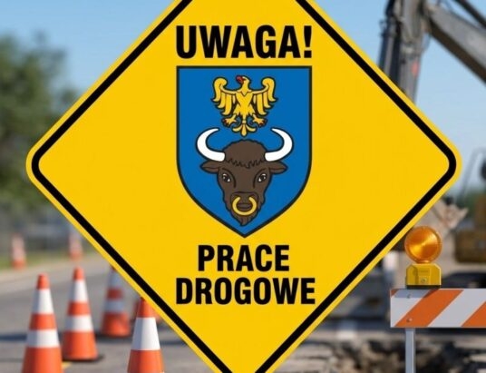 Spore utrudnienia w centrum Żywca