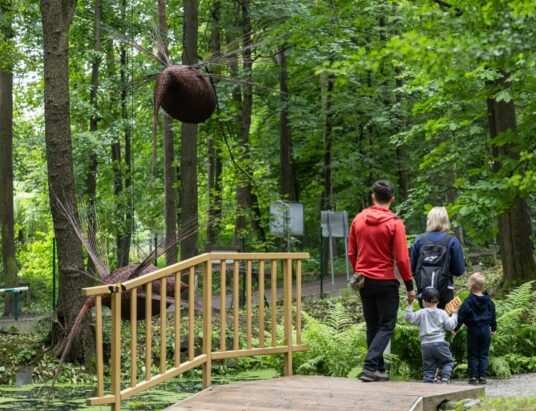 Ratownicy radzą jak wędrować. Nowy szlak edukacyjny powstał w Cygańskim Lesie