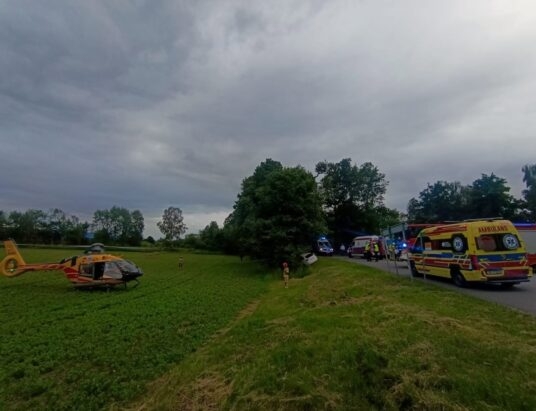 Samochód uderzył bokiem w drzewo. Pięć osób trafiło do szpitali