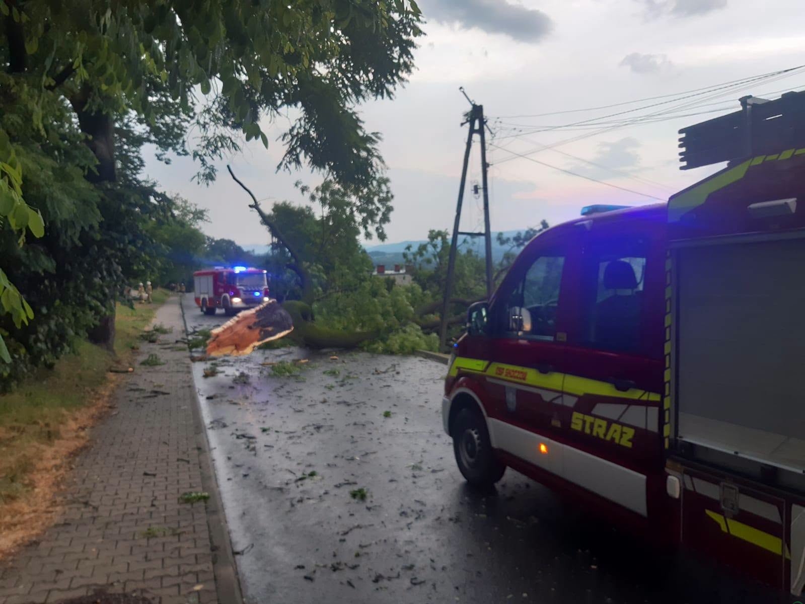 Burza wyrządziła szkody w całym powiecie cieszyńskim. 15 uszkodzonych dachów i 123 interwencje