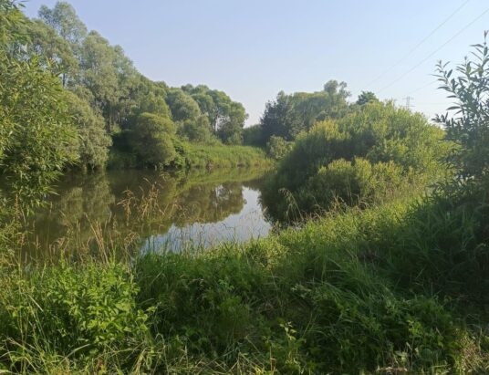 Zwłoki mężczyzny w Sole