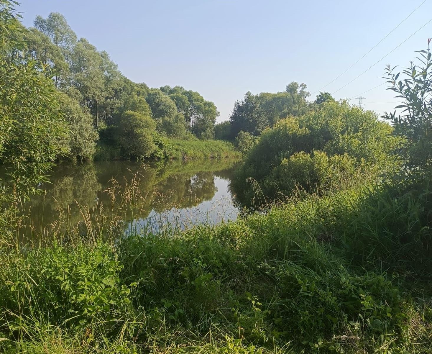 Zwłoki mężczyzny w Sole