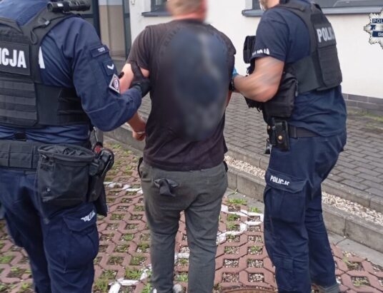 Strzelał z wiatrówki, zaatakował młotkiem. Trzech policjantów wymagało pomocy medycznej