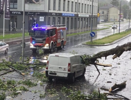 Z ostatniej chwili: O krok od tragedii w Bielsku-Białej! Drzewo spadło na jadące auto, ulica zablokowana!