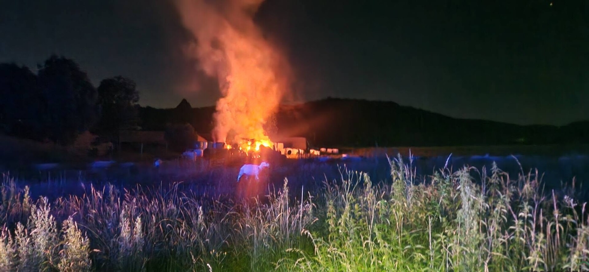 Pożar balotów siana w Dzięgielowie. Strażacy walczyli z ogniem ponad trzy godziny | FOTO