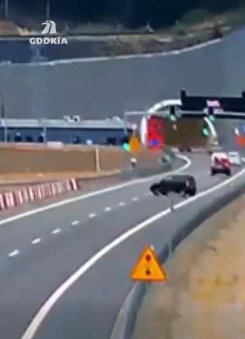 Kolejny kierowca zawracał na S1! – WIDEO