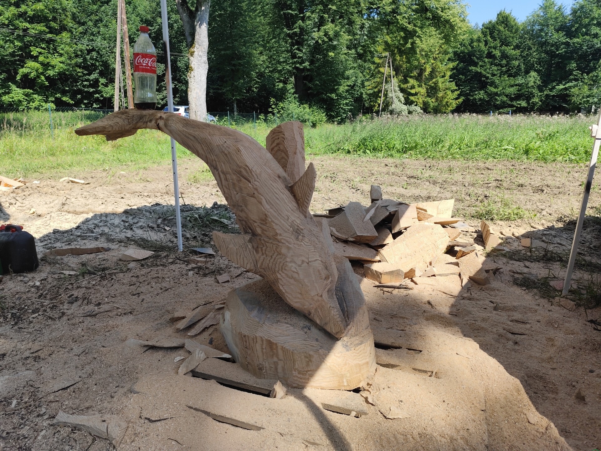 Od baranków po figury religijne. W Dzięgielowie znów rzeźbią w drewnie | ZDJĘCIA