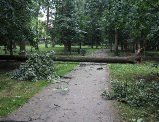 Burza nad Żywiecczyzną. Zniszczenia w parku | ZDJĘCIA