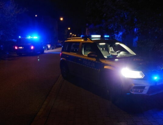 Chciał ukraść alkohol, groził ekspedientce