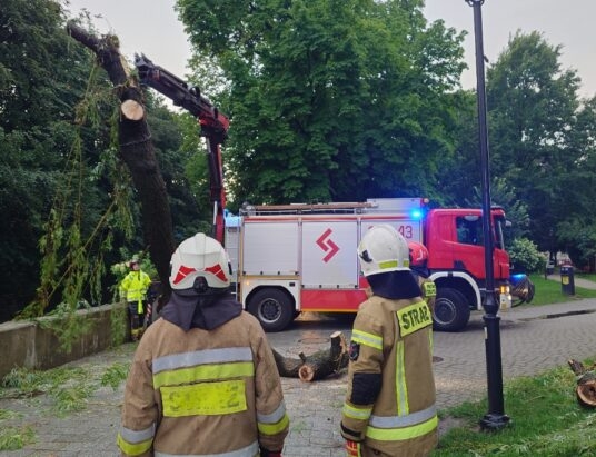 Ponad dwieście wyjazdów strażaków