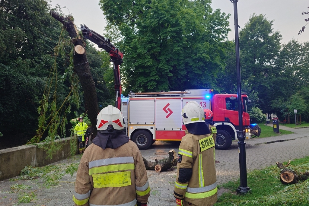 Potężne drzewo w korycie rzeki! Ponad dwieście wyjazdów strażaków