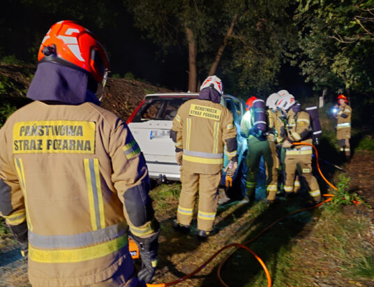 Nocny pożar samochodu. Auto doszczętnie spłonęło