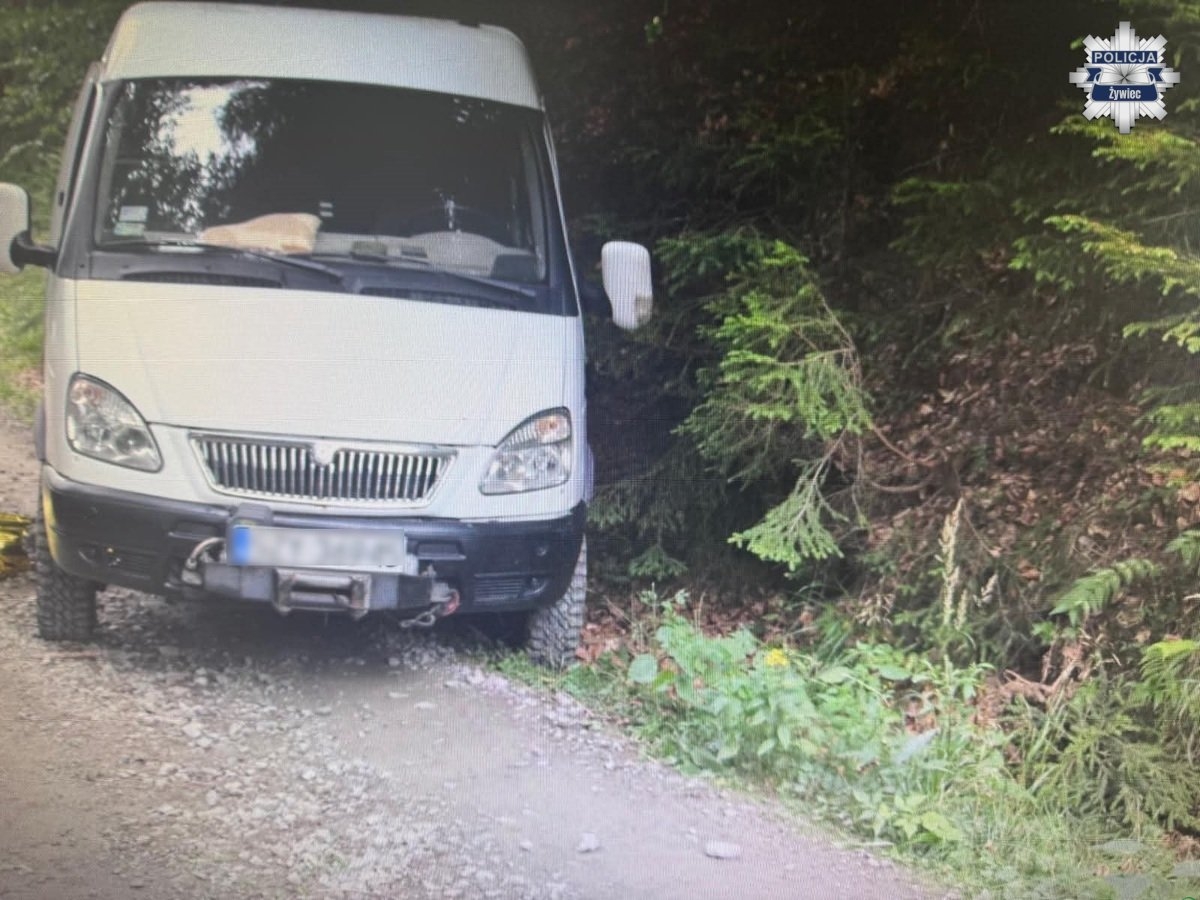 Tragedia na leśnej drodze w Lipowej. Nie żyje 40-letnia kobieta