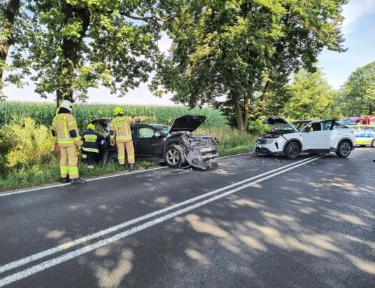 Bohaterska postawa strażaków i ratowników z OSP Mnich