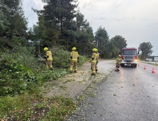Burze dały się we znaki. Strażacy w powiecie cieszyńskim nie mieli spokojnego czasu