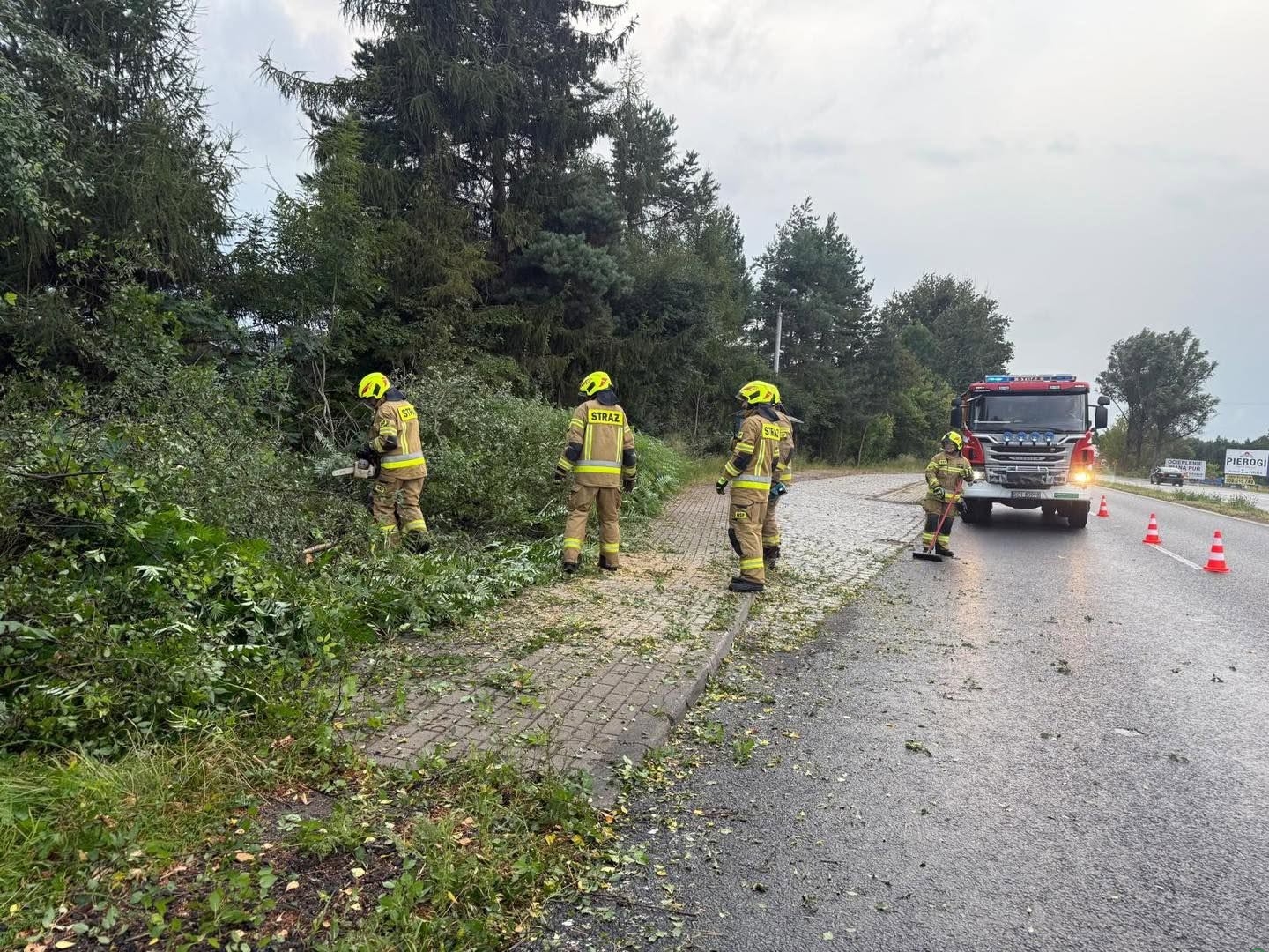 Burze dały się we znaki. Strażacy w powiecie cieszyńskim nie mieli spokojnego czasu